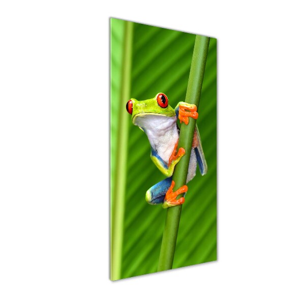 Glasbild vertikales Europäischer Laubfrosch