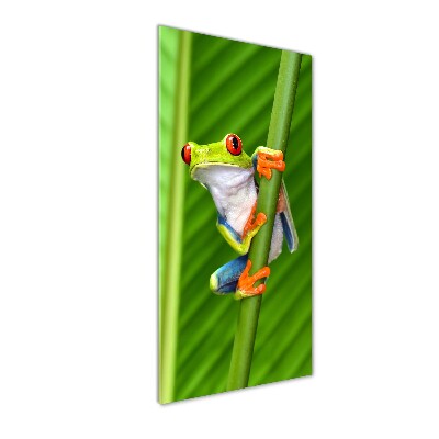 Glasbild vertikales Europäischer Laubfrosch