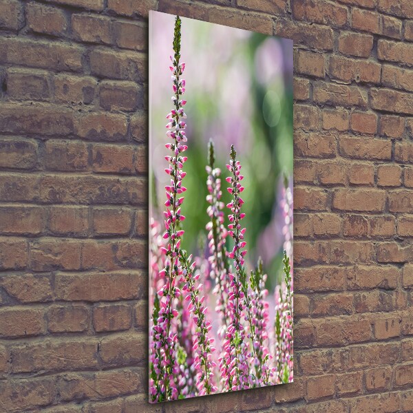 Glasbild vertikales Heidekraut