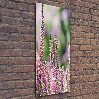 Glasbild vertikales Heidekraut