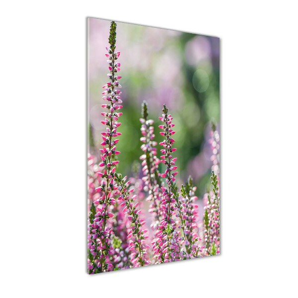 Glasbild vertikales Heidekraut