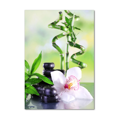 Foto auf glas vertikales Bambus