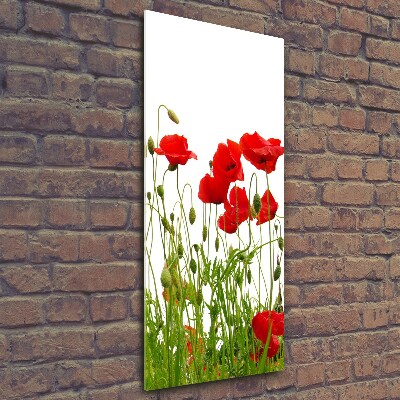 Glasbild vertikales Feldmohn