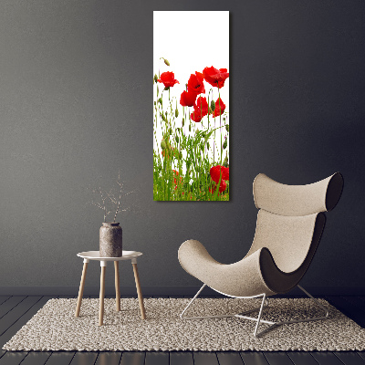 Glasbild vertikales Feldmohn