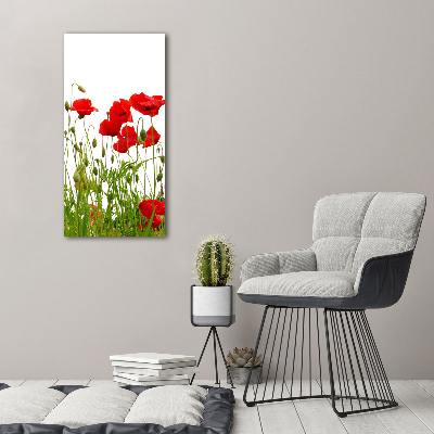 Glasbild vertikales Feldmohn