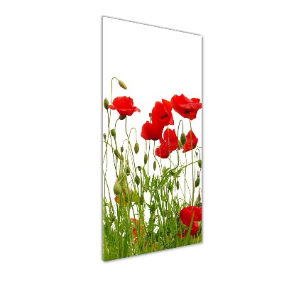 Glasbild vertikales Feldmohn