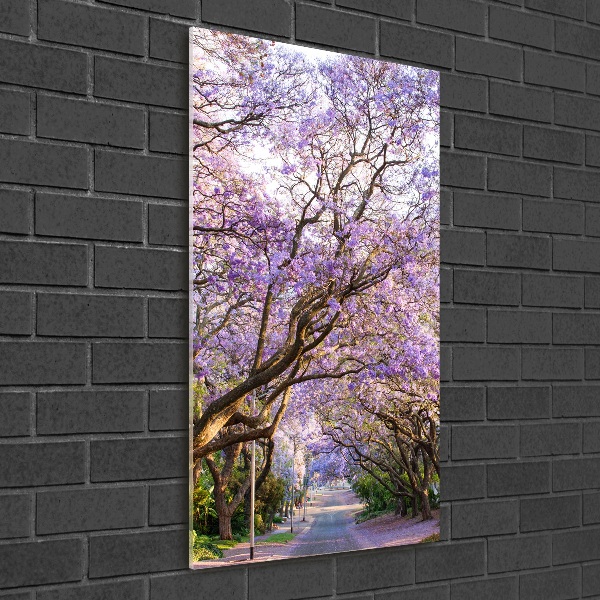 Foto auf glas vertikales Jacaranda-Pfad