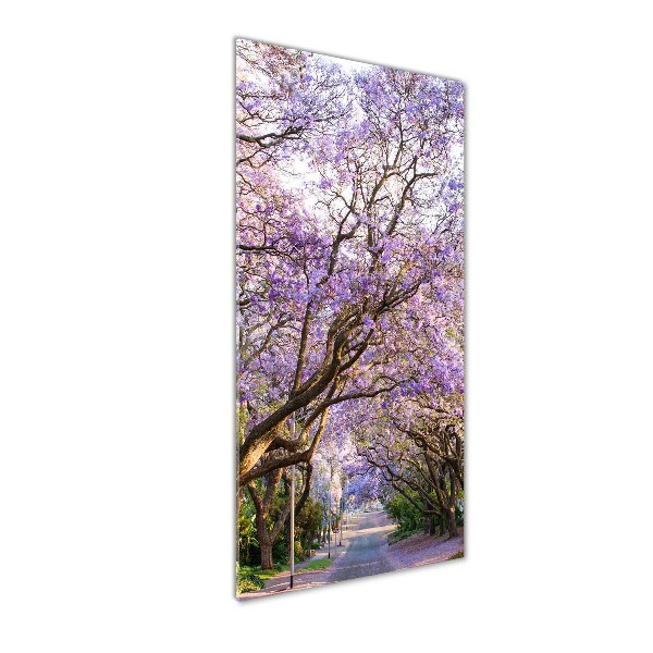 Foto auf glas vertikales Jacaranda-Pfad