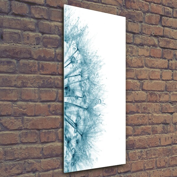 Bild aus glas vertikales Löwenzahnsamen