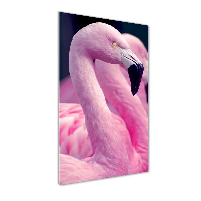 Foto auf glas vertikales Flamingos