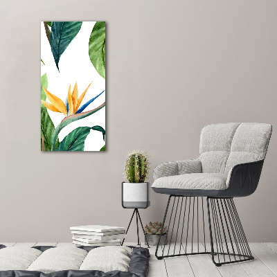 Foto auf glas vertikales Strelitzia reginae