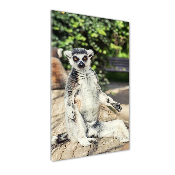 Glasbild vertikales Lemur
