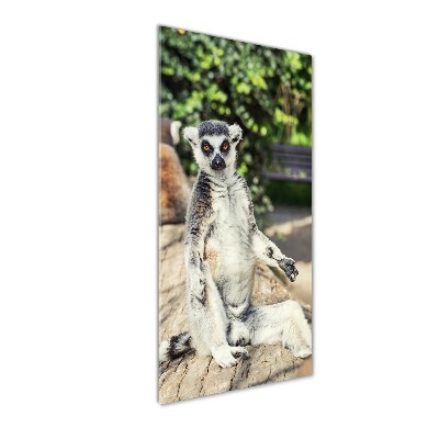 Glasbild vertikales Lemur
