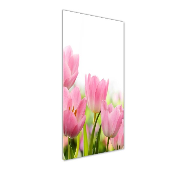Bild aus glas vertikales Rosa Tulpen