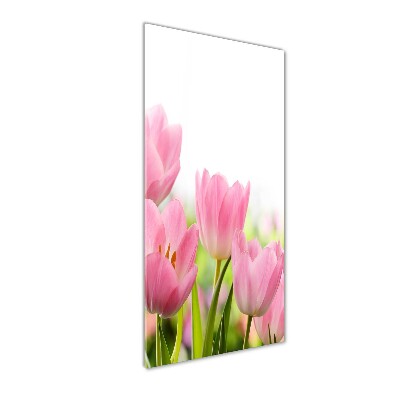 Bild aus glas vertikales Rosa Tulpen