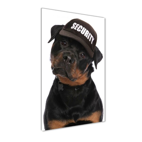 Foto auf glas vertikales Rottweiler mit Mütze