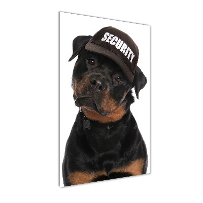 Foto auf glas vertikales Rottweiler mit Mütze