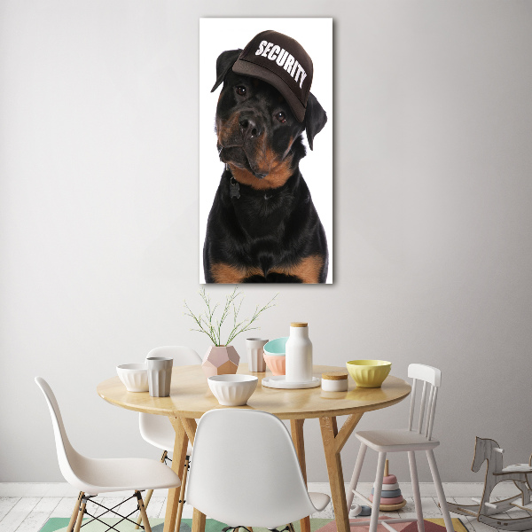 Foto auf glas vertikales Rottweiler mit Mütze