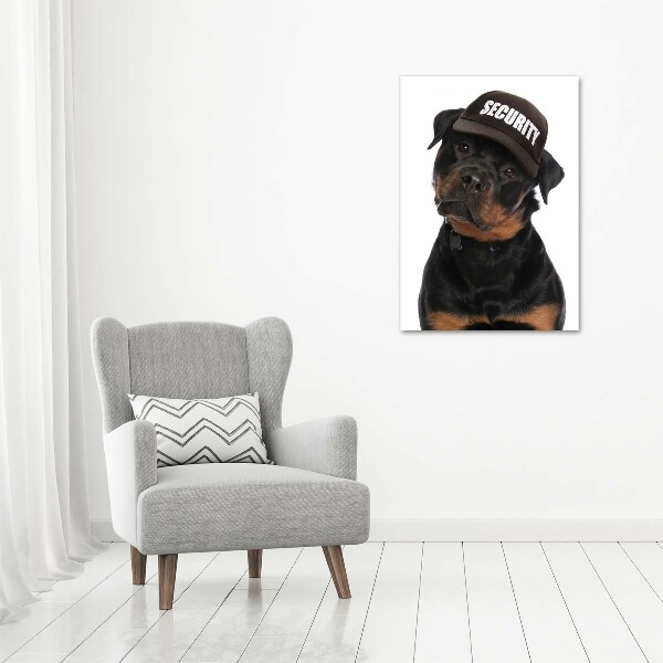 Foto auf glas vertikales Rottweiler mit Mütze