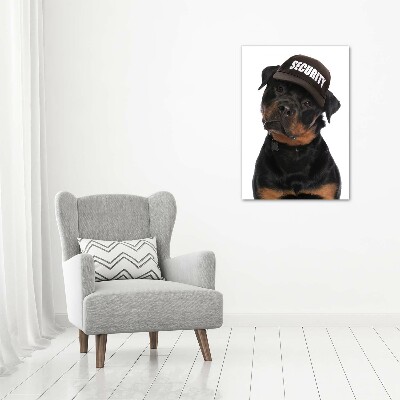 Foto auf glas vertikales Rottweiler mit Mütze