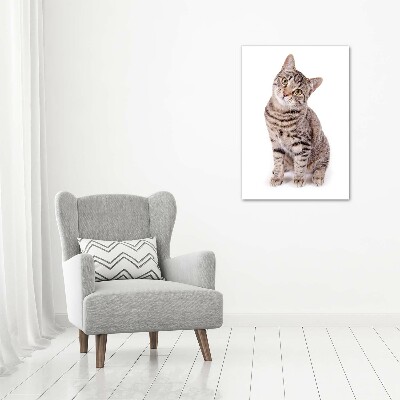 Glasbild vertikales Katze