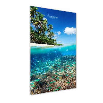 Bild aus glas vertikales Korallenriff