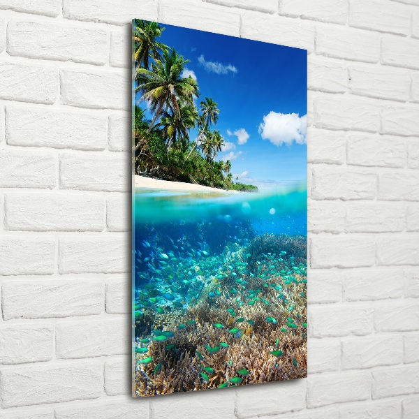 Bild aus glas vertikales Korallenriff