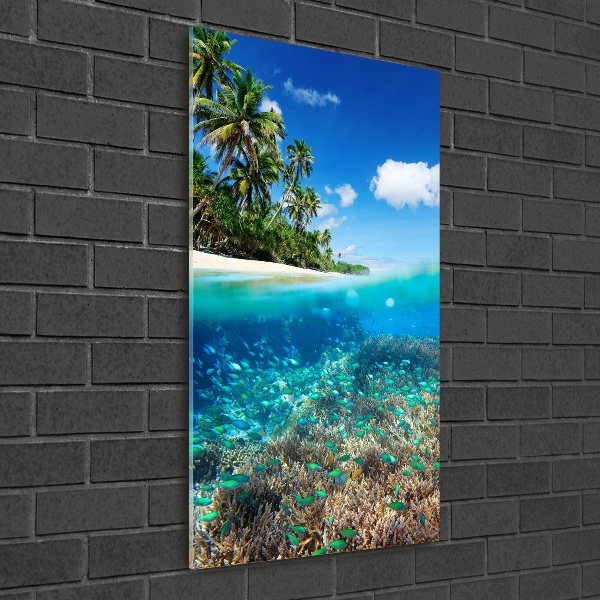 Bild aus glas vertikales Korallenriff