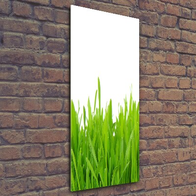 Glasbild vertikales Grünes Gras