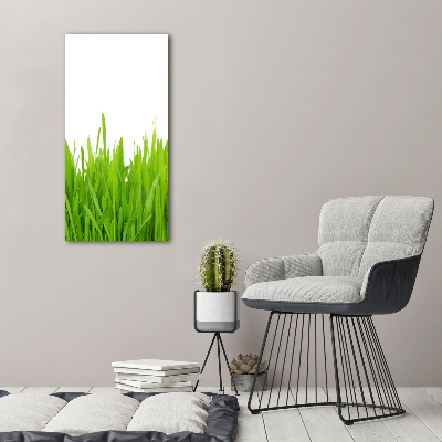 Glasbild vertikales Grünes Gras