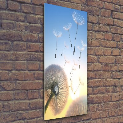 Foto auf glas vertikales Löwenzahn