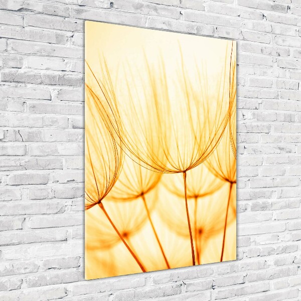 Bild aus glas vertikales Löwenzahnsamen