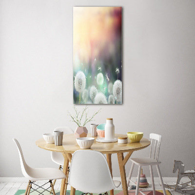 Foto auf glas vertikales Löwenzahn