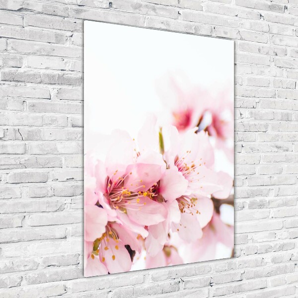 Bild aus glas vertikales Mandelblüten