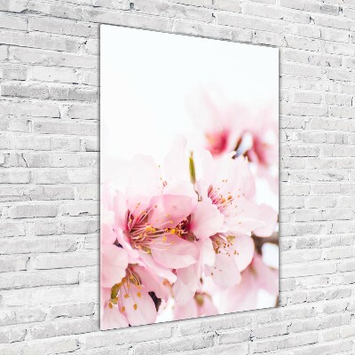 Bild aus glas vertikales Mandelblüten