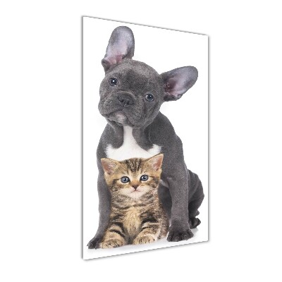 Glasbild vertikales Hund und Katze
