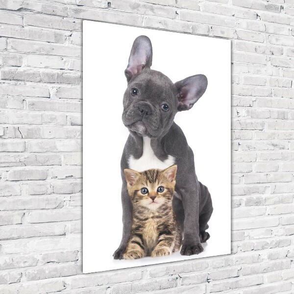 Glasbild vertikales Hund und Katze