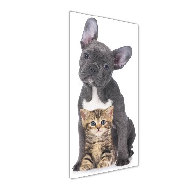 Glasbild vertikales Hund und Katze