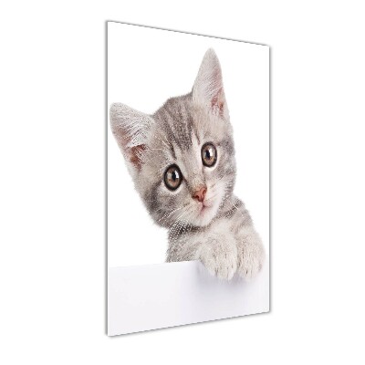 Bild aus glas vertikales Graue Katze