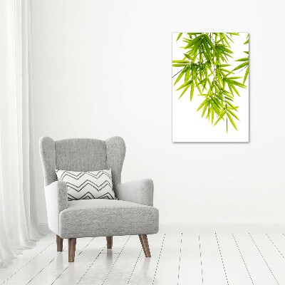 Glasbild vertikales Bambusblätter