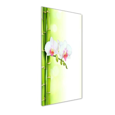 Bild aus glas vertikales Orchidee und Bambus