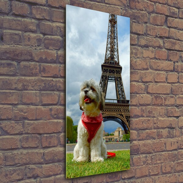 Foto auf glas vertikales Ein Hund in Paris