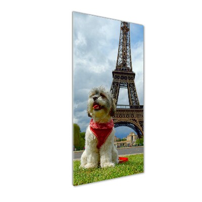 Foto auf glas vertikales Ein Hund in Paris