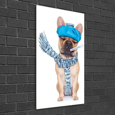 Foto auf glas vertikales Kranker Hund