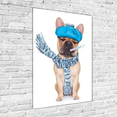 Foto auf glas vertikales Kranker Hund