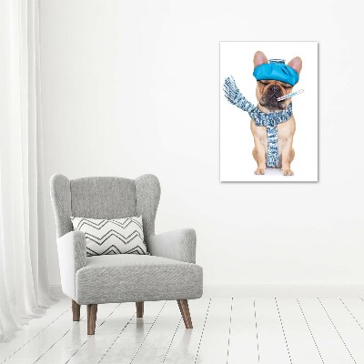 Foto auf glas vertikales Kranker Hund