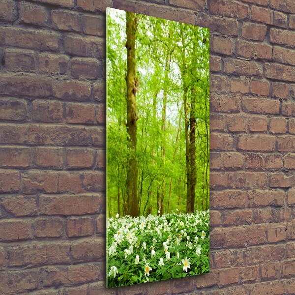 Bild aus glas vertikales Blumen im Wald