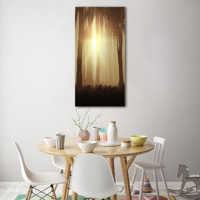 Foto auf glas vertikales Nebel im Wald