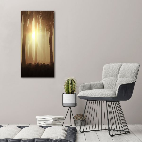 Foto auf glas vertikales Nebel im Wald