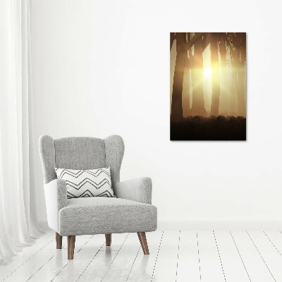 Foto auf glas vertikales Nebel im Wald